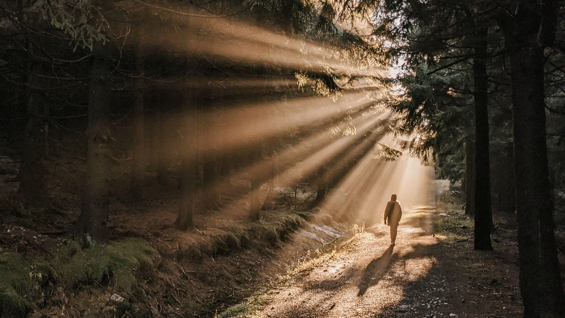 [암스트롱] 암환자에게 산소가 중요한 이유
